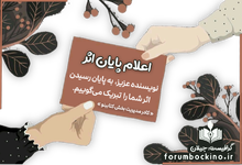 a38008_Negar_1745610608667.png