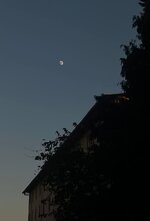 IMG_20250719_211909_674.jpg