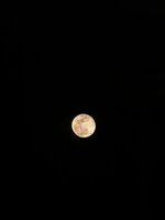 IMG_20250720_164618_815.jpg