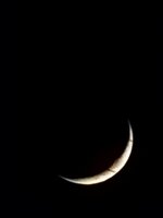 IMG_20250720_165216_779.jpg