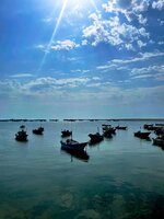 IMG_20250729_222933_626.jpg