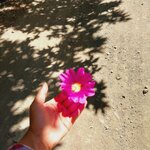 IMG_20250818_125058_432.jpg