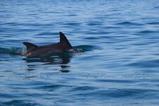 IMG_7109.jpeg