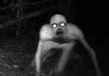 IMG_0745.jpeg