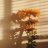 Sun Flower